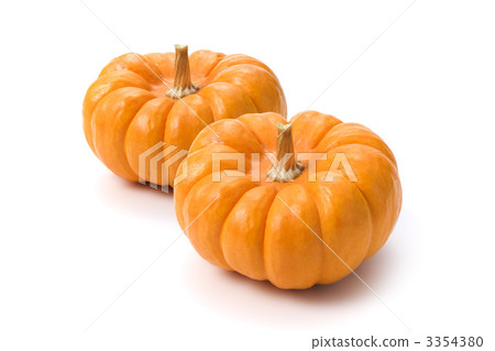 南瓜 3354380