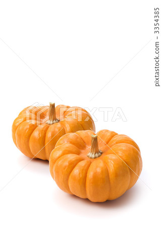 南瓜 3354385