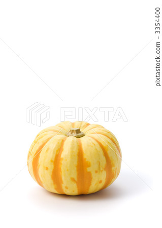 南瓜 3354400