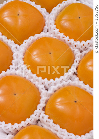 無核柿子 3355756