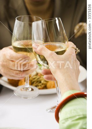 Couple toasting wine. Couple toasting wine. 3355836