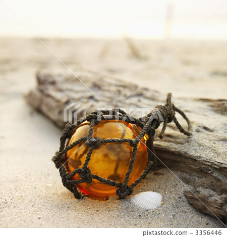 Beach still life. 3356446