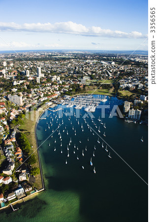 Rushcutters Bay, Australia. Rushcutters Bay, Australia. 3356565