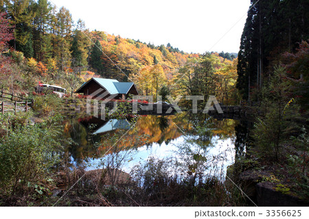 Autumn leaves reflected in the pond in the four seasons town 3356625