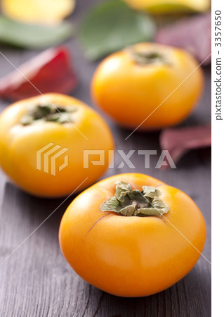 無核柿子 3357650