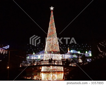 足利花卉公園照明 3357893