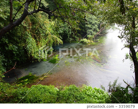 Kakidagawa泉水在雨天 3359079