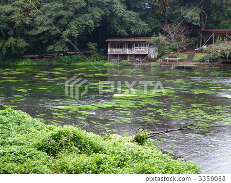 Kakidagawa spring water on rainy day Kakidagawa spring water on rainy day 3359088