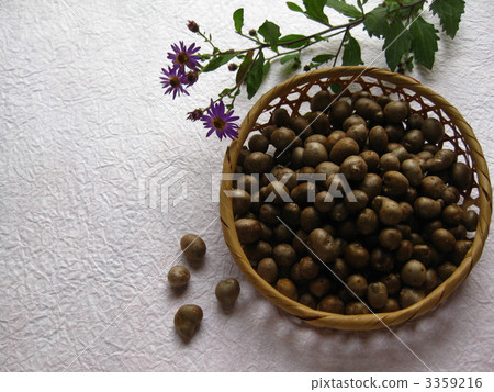 竹草 竹草 3359216