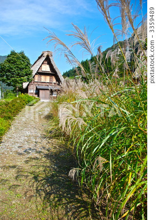 Gokayama's "Gasshon-making colony" (Gokayama / Nanto City, Toyama Prefecture) Gokayama's "Gasshon-making colony" (Gokayama / Nanto City, Toyama Prefecture) 3359489