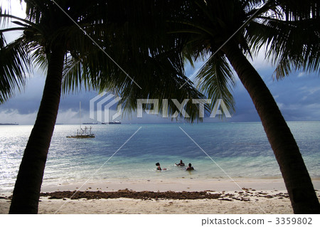 橫跨棕櫚樹的Garapan海灘 橫跨棕櫚樹的Garapan海灘 3359802