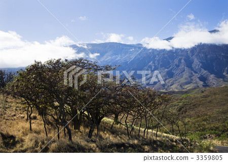 Maui, Hawaii. 3359805