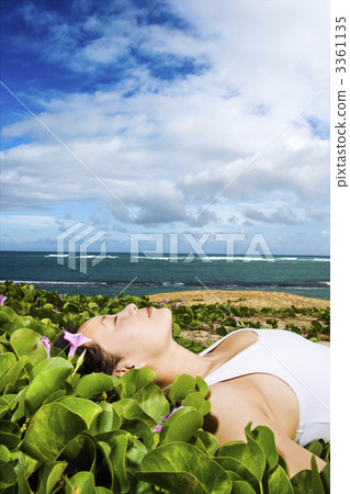 Woman Lying in Plants Near Beach 3361135