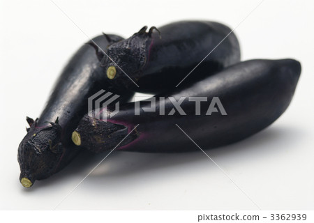 茄子 3362939