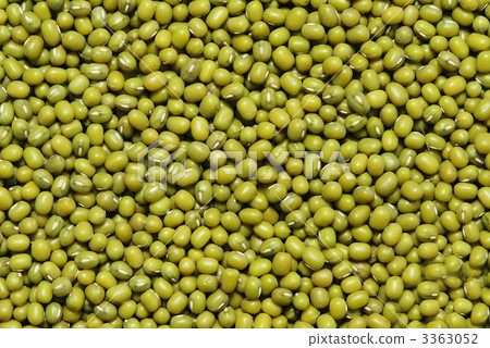 Mung bean 3363052