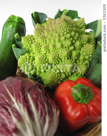 多彩的意大利菜 3363309