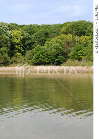 Nagoya · Obata green area 3363460