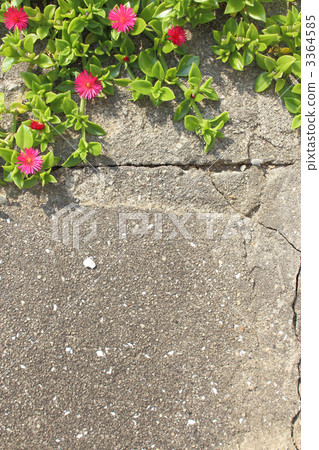 Hanadzurusou 3364585