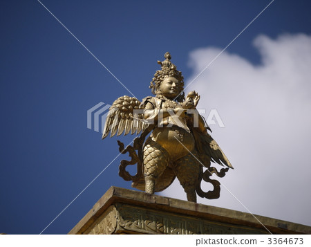 Tibet Norwalkerka Tibet Norwalkerka 3364673