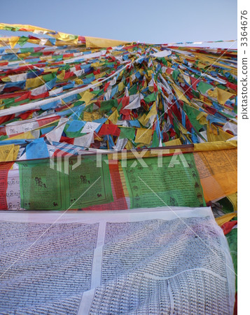 西藏tarucho 西藏tarucho 3364676