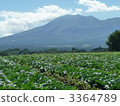 cabbage farm, plateau, highland 3364789