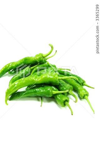 图库照片: 很多蓝色辣椒垂直位置