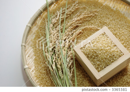Rice and brown rice Rice and brown rice 3365381