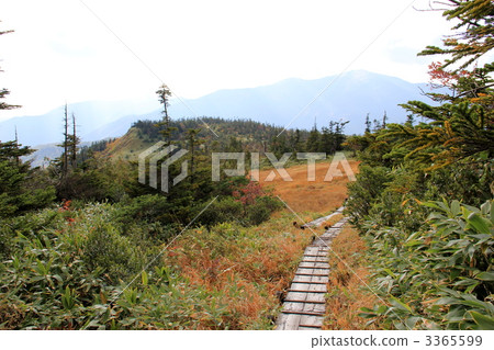 Oze National Park Fujimi Pass 3365599