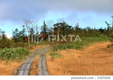 Oze Azayaira Oze國家公園 Oze Azayaira Oze國家公園 3365600