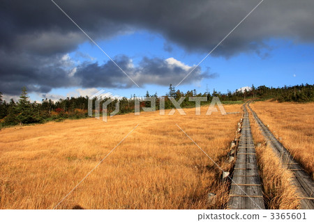 Oze Azayaira Oze國家公園 Oze Azayaira Oze國家公園 3365601