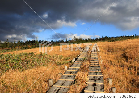 Oze Azayaira Oze國家公園 3365602