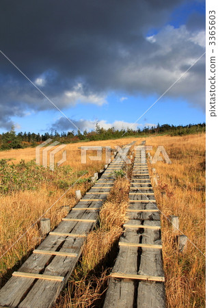 Oze Azayaira Oze國家公園 3365603