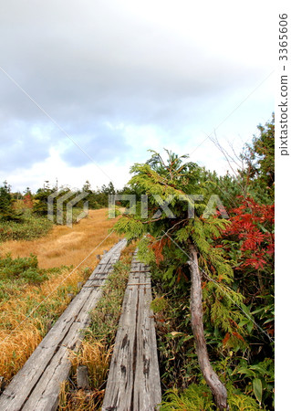 Oze National Park Fujimi Pass 3365606
