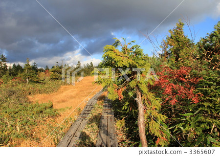 Oze National Park Fujimi Pass 3365607