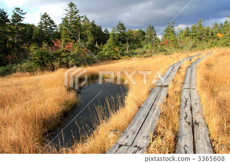 Oze國家公園橫田 3365608