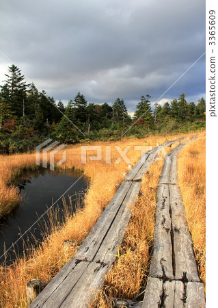 Oze國家公園橫田 3365609