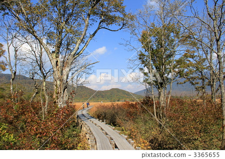 Oze國家公園Ozegahara 3365655