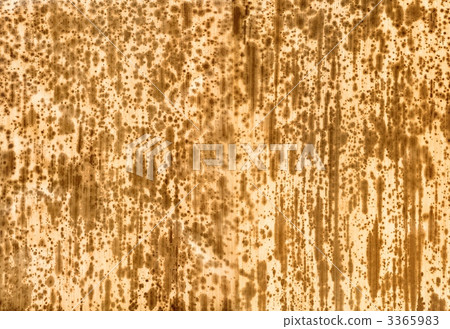Bamboo skin 3365983