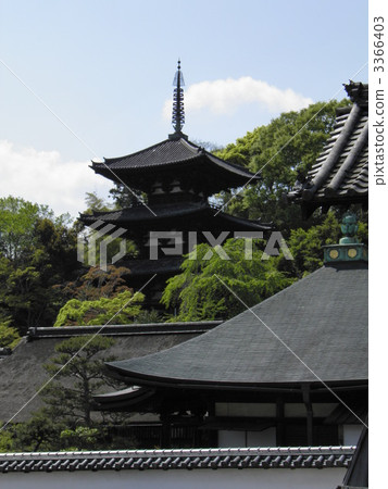 天婦羅東TōwaNakanosho 3366403