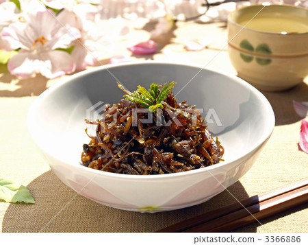 春天的麵條 3366886