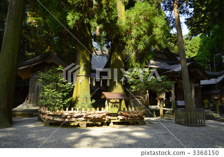 高千穗神社 3368150