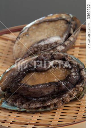 Abalone 3369222