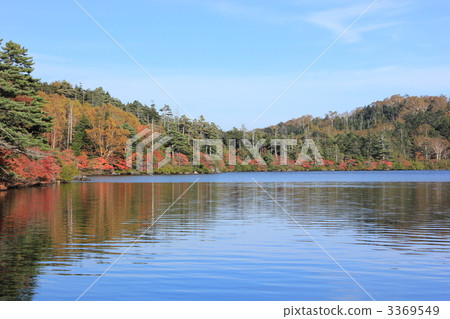 Shirakawa Pond 3369549