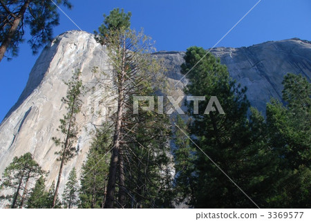 Yosemite National Park El Capitan 3369577