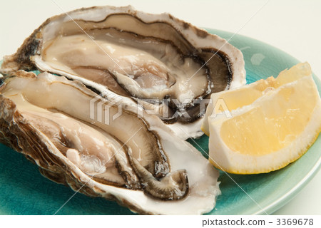 牡蠣 3369678