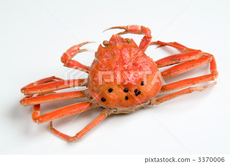 Fishes of snow crab 3370006