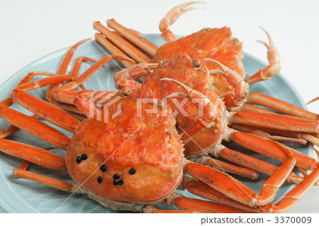 Fishes of snow crab 3370009