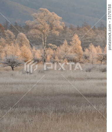 小田代原 霧凇 風景 3370788