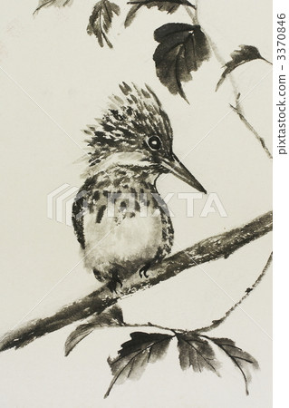 冠魚狗 野生鳥類 野鳥 3370846