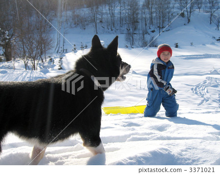 Children and dogs staring together 3371021